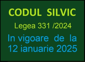 CODUL SILVIC